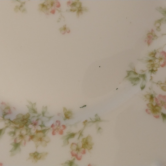 Set of 8 Haviland Dinnerware - Picture 6 of 7